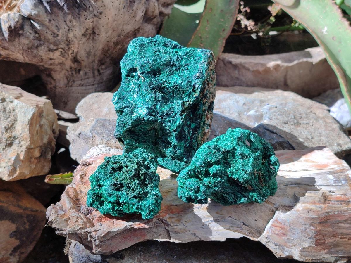 Natural Silky Malachite Specimens x 3 From Kasompe, Congo - Toprock Gemstones and Minerals 