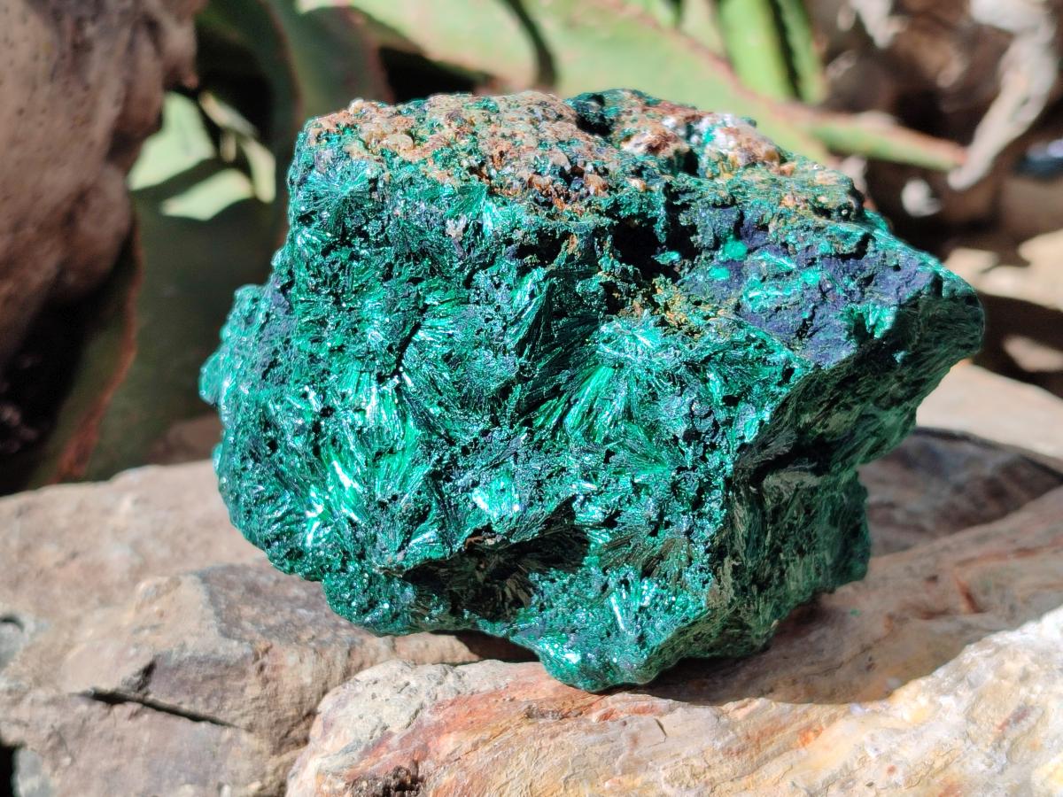 Natural Silky Malachite Specimens x 3 From Kasompe, Congo - Toprock Gemstones and Minerals 