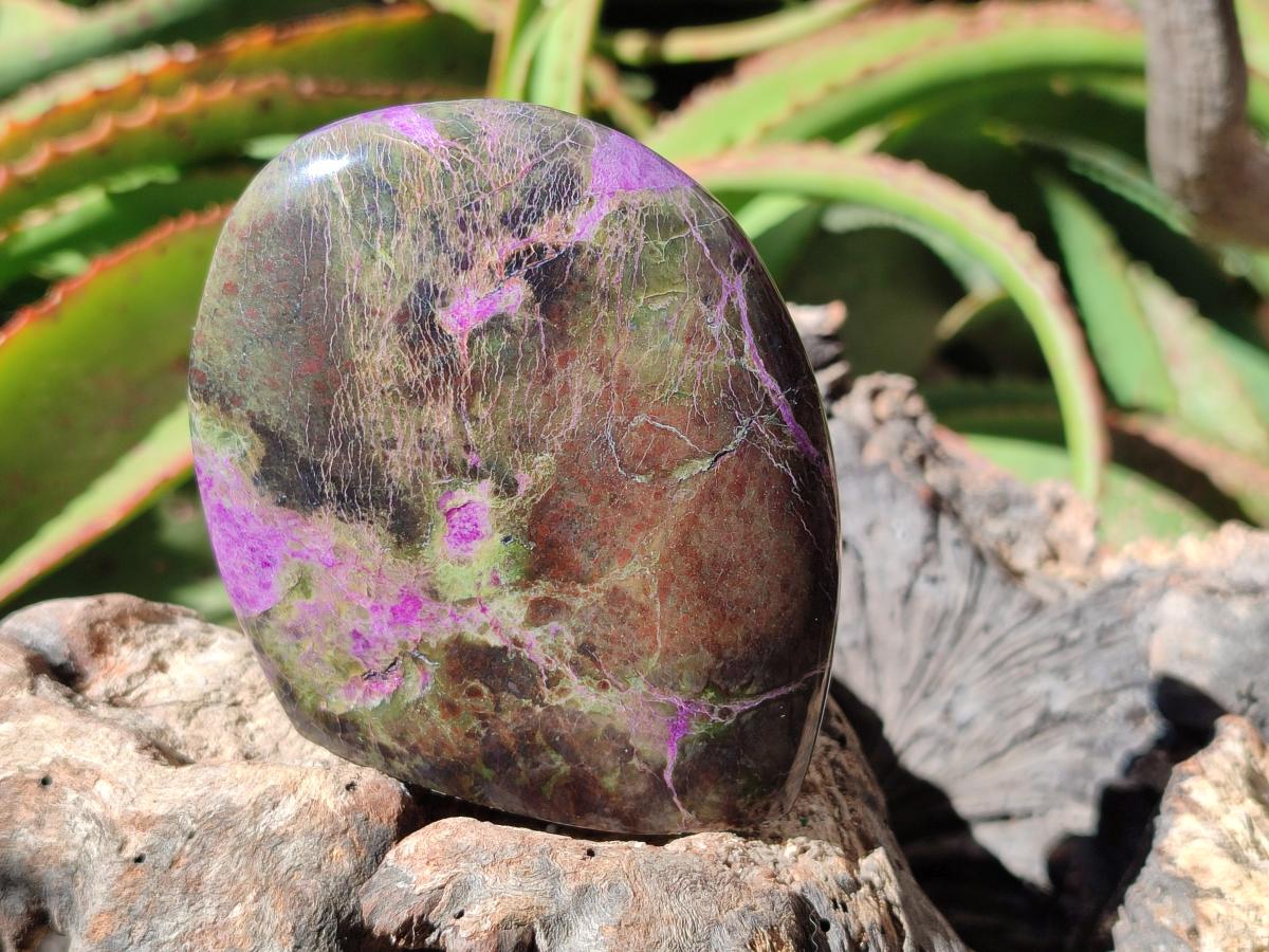 Polished Stichtite Standing Free Forms x 4 From Barberton, South Africa - Toprock Gemstones and Minerals 