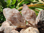Natural Golden Luena Quartz Clusters x 12 From Luena, Congo - Toprock Gemstones and Minerals 