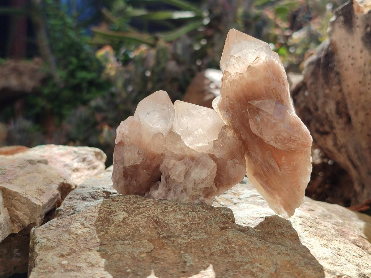 Natural Golden Luena Quartz Clusters x 12 From Luena, Congo - Toprock Gemstones and Minerals 