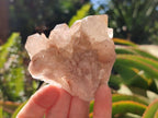 Natural Golden Luena Quartz Clusters x 12 From Luena, Congo - Toprock Gemstones and Minerals 
