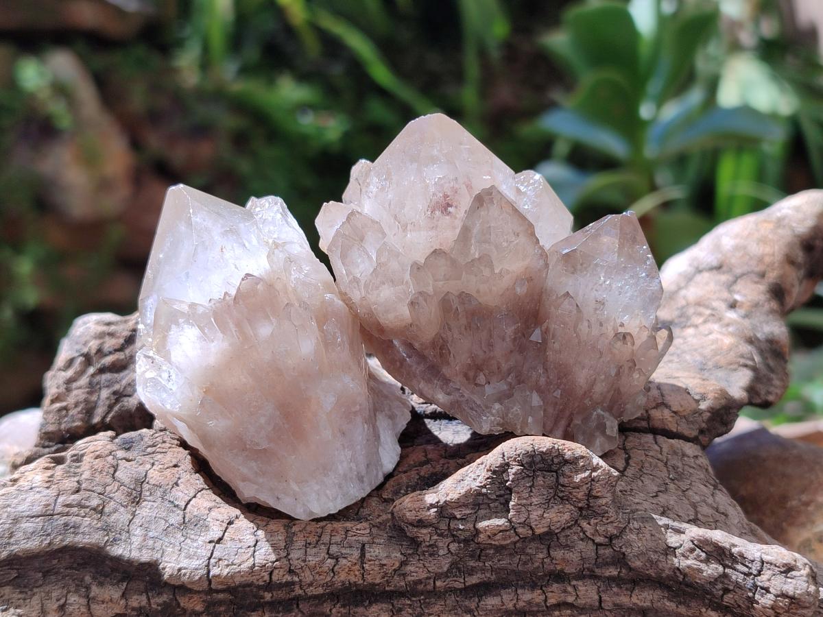 Natural Golden Luena Quartz Clusters x 12 From Luena, Congo - Toprock Gemstones and Minerals 