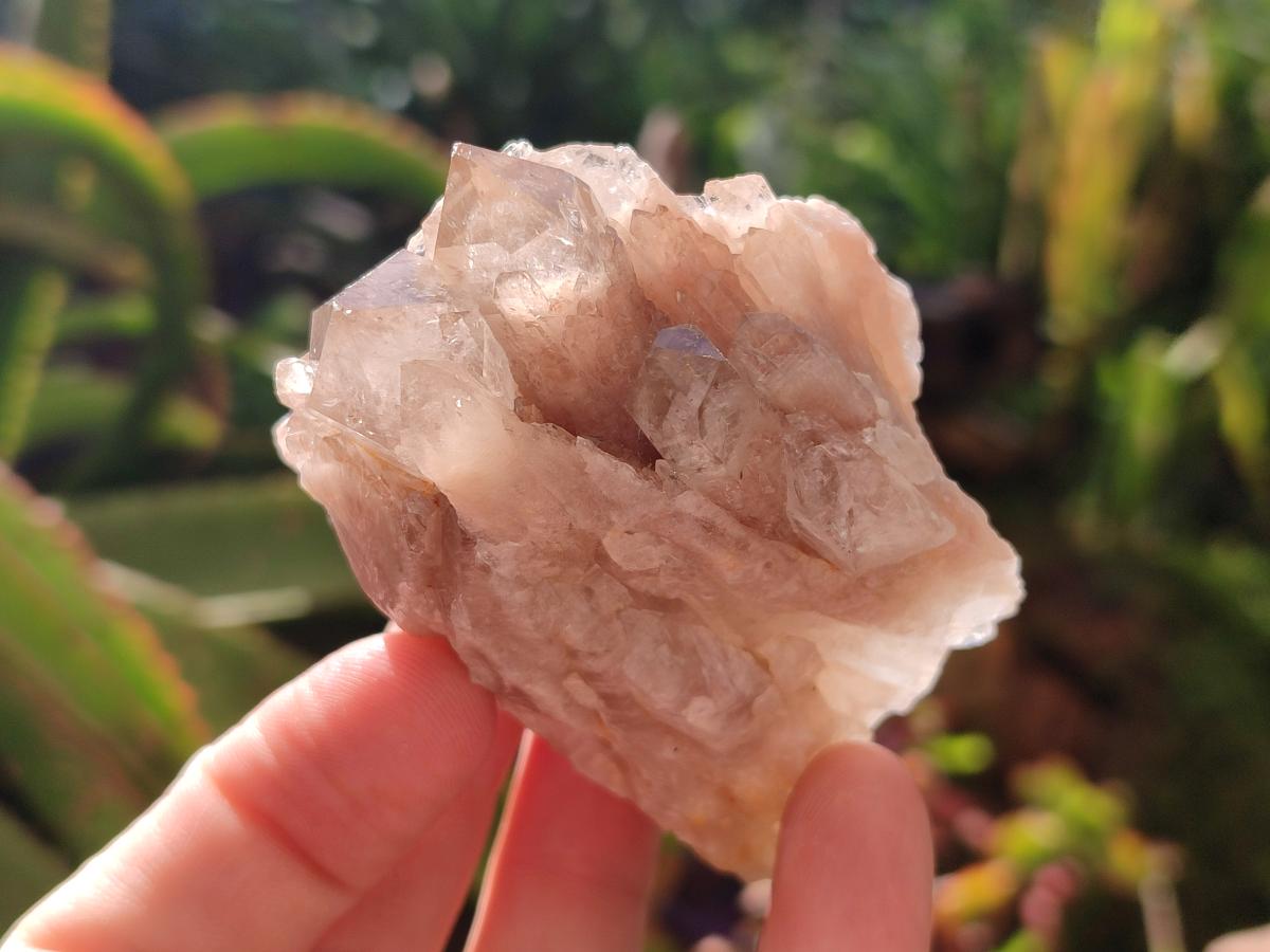 Natural Golden Luena Quartz Clusters x 12 From Luena, Congo - Toprock Gemstones and Minerals 