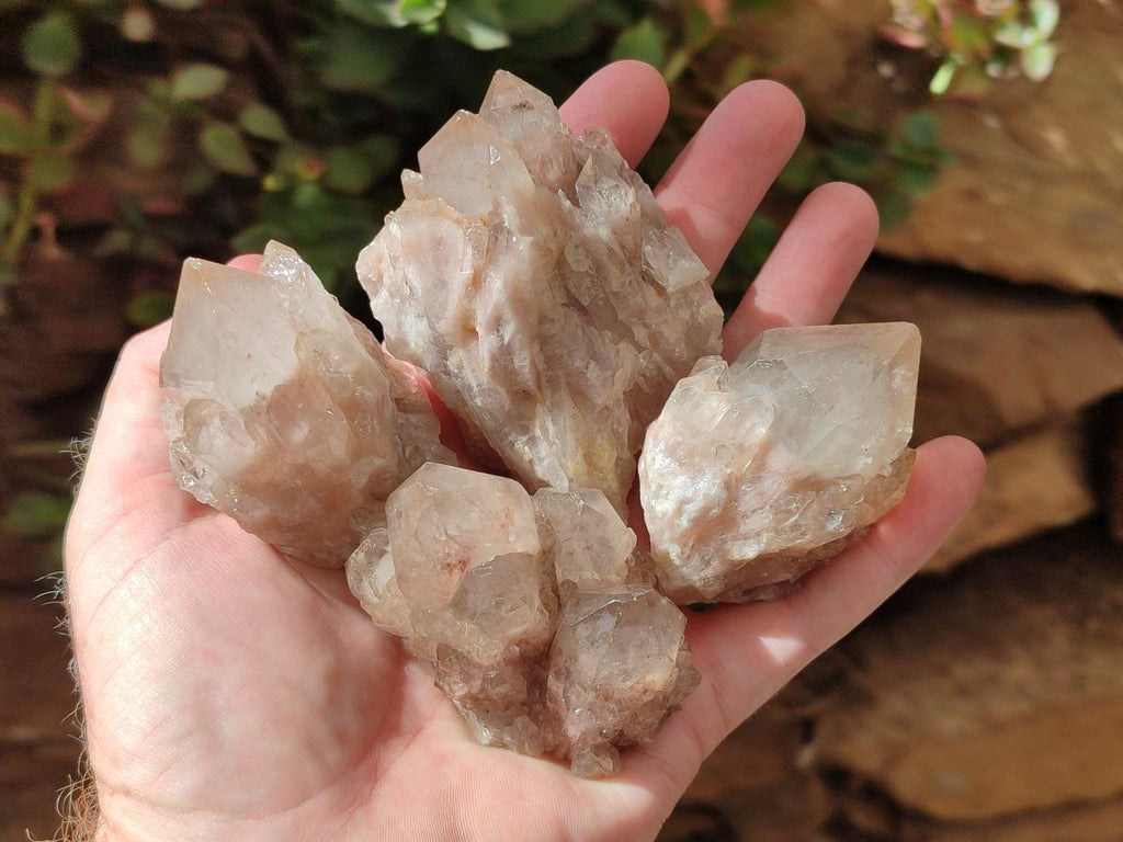 Natural Golden Luena Quartz Clusters x 12 From Luena, Congo - Toprock Gemstones and Minerals 