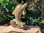 Polished Large Unakite Dolphin Carving x 1 From Messina, South Africa - Toprock Gemstones and Minerals 