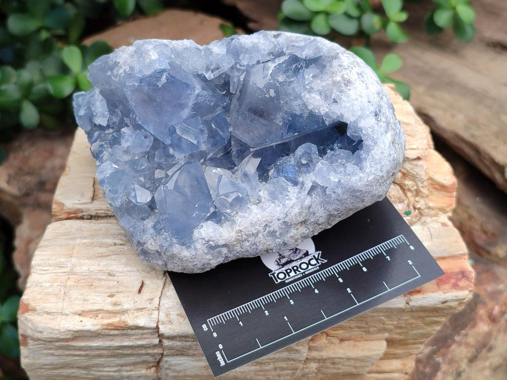 Natural Blue Celestite Geode Cluster Specimens x 2 From Sakoany, Madagascar - Toprock Gemstones and Minerals 