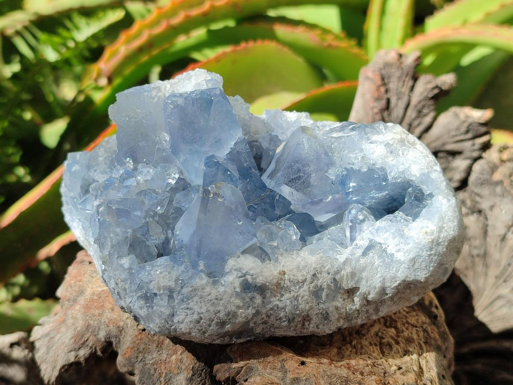 Natural Blue Celestite Geode Cluster Specimens x 2 From Sakoany, Madagascar - Toprock Gemstones and Minerals 