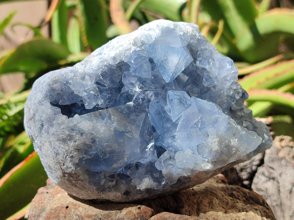 Natural Blue Celestite Geode Cluster Specimens x 2 From Sakoany, Madagascar - Toprock Gemstones and Minerals 