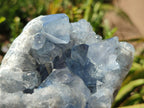 Natural Blue Celestite Geode Cluster Specimens x 2 From Sakoany, Madagascar - Toprock Gemstones and Minerals 