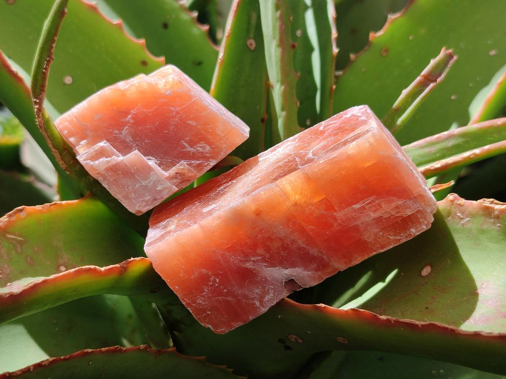 Natural Rhombohedral Sunset Orange Calcite Specimens x 24 From Spitzkop, Namibia - Toprock Gemstones and Minerals 