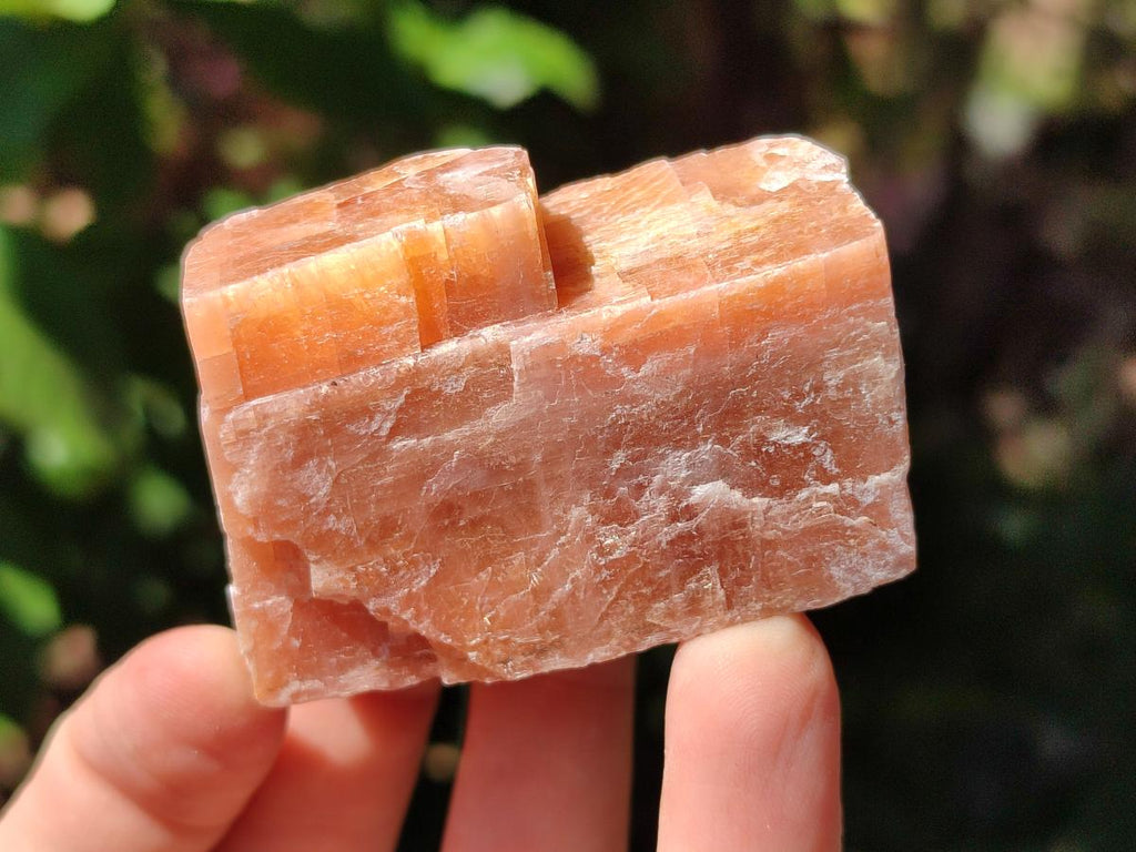Natural Rhombohedral Sunset Orange Calcite Specimens x 24 From Spitzkop, Namibia - Toprock Gemstones and Minerals 