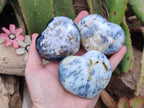 Polished White Dendritic Opal Hearts x 12 From Moralambo, Madagascar - Toprock Gemstones and Minerals 