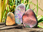 Polished Rare Purple Sunset Flash Labradorite Standing Free Forms x 3 From Madagascar - Toprock Gemstones and Minerals 