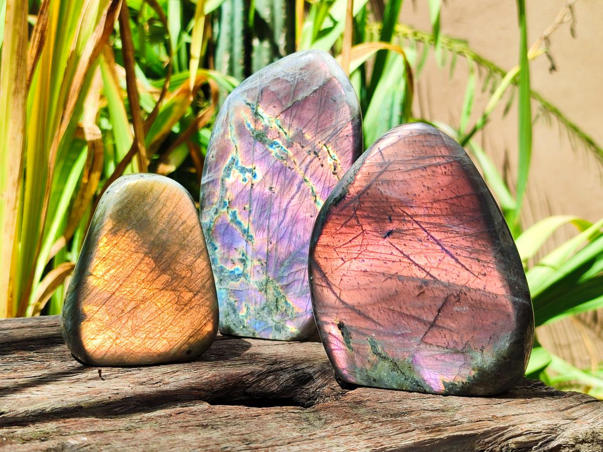 Polished Rare Purple Sunset Flash Labradorite Standing Free Forms x 3 From Madagascar - Toprock Gemstones and Minerals 