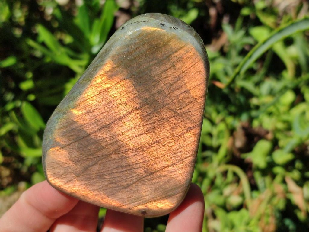 Polished Rare Purple Sunset Flash Labradorite Standing Free Forms x 3 From Madagascar - Toprock Gemstones and Minerals 