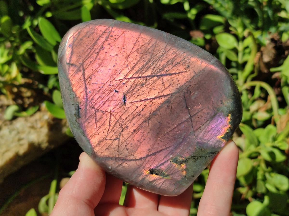 Polished Rare Purple Sunset Flash Labradorite Standing Free Forms x 3 From Madagascar - Toprock Gemstones and Minerals 