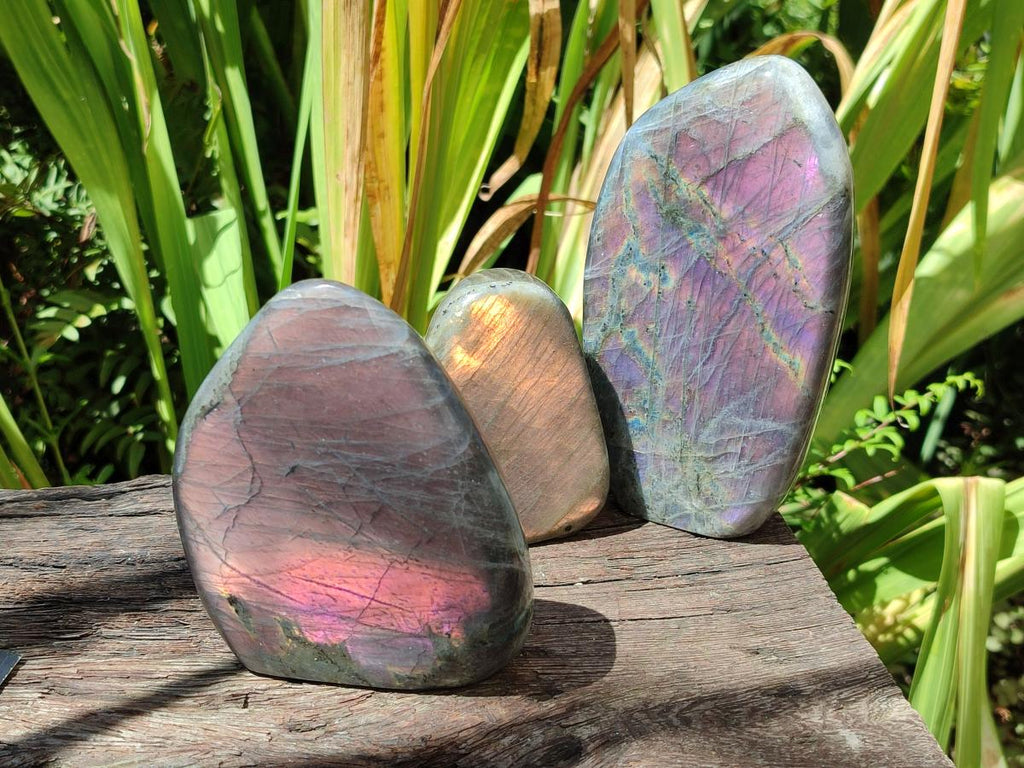 Polished Rare Purple Sunset Flash Labradorite Standing Free Forms x 3 From Madagascar - Toprock Gemstones and Minerals 