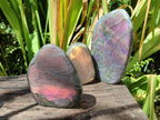 Polished Rare Purple Sunset Flash Labradorite Standing Free Forms x 3 From Madagascar - Toprock Gemstones and Minerals 