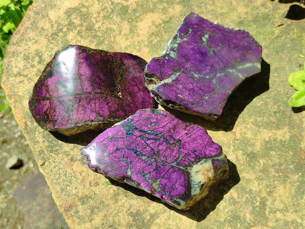 Polished On One Side Metallic Purpurite Specimens x 3 From Erongo Namibia - Toprock Gemstones and Minerals 