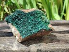 Natural Crystalline Malachite Specimens x 2 From Tenke Fungurume, Congo - Toprock Gemstones and Minerals 