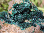 Natural Crystalline Malachite Specimens x 2 From Tenke Fungurume, Congo - Toprock Gemstones and Minerals 