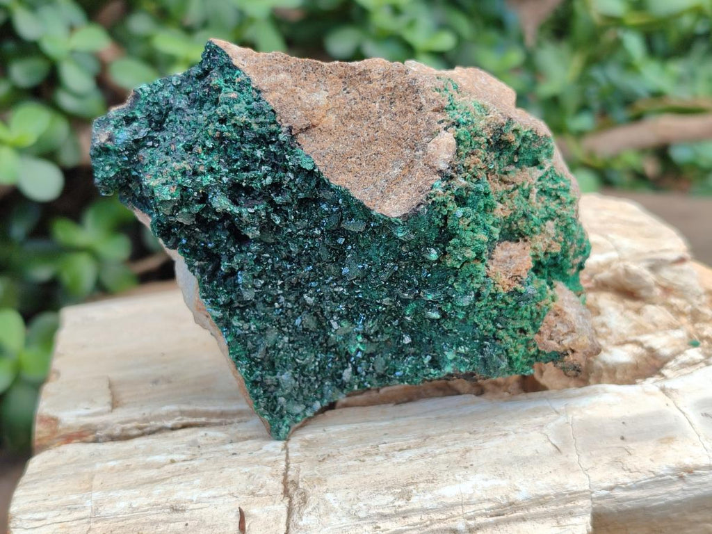 Natural Crystalline Malachite Specimens x 2 From Tenke Fungurume, Congo - Toprock Gemstones and Minerals 