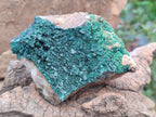 Natural Crystalline Malachite Specimens x 2 From Tenke Fungurume, Congo - Toprock Gemstones and Minerals 