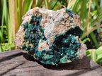 Natural Crystalline Malachite Specimens x 2 From Tenke Fungurume, Congo - Toprock Gemstones and Minerals 