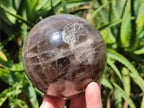 Polished Smokey Window Quartz Spheres x 2 From Madagascar - Toprock Gemstones and Minerals 