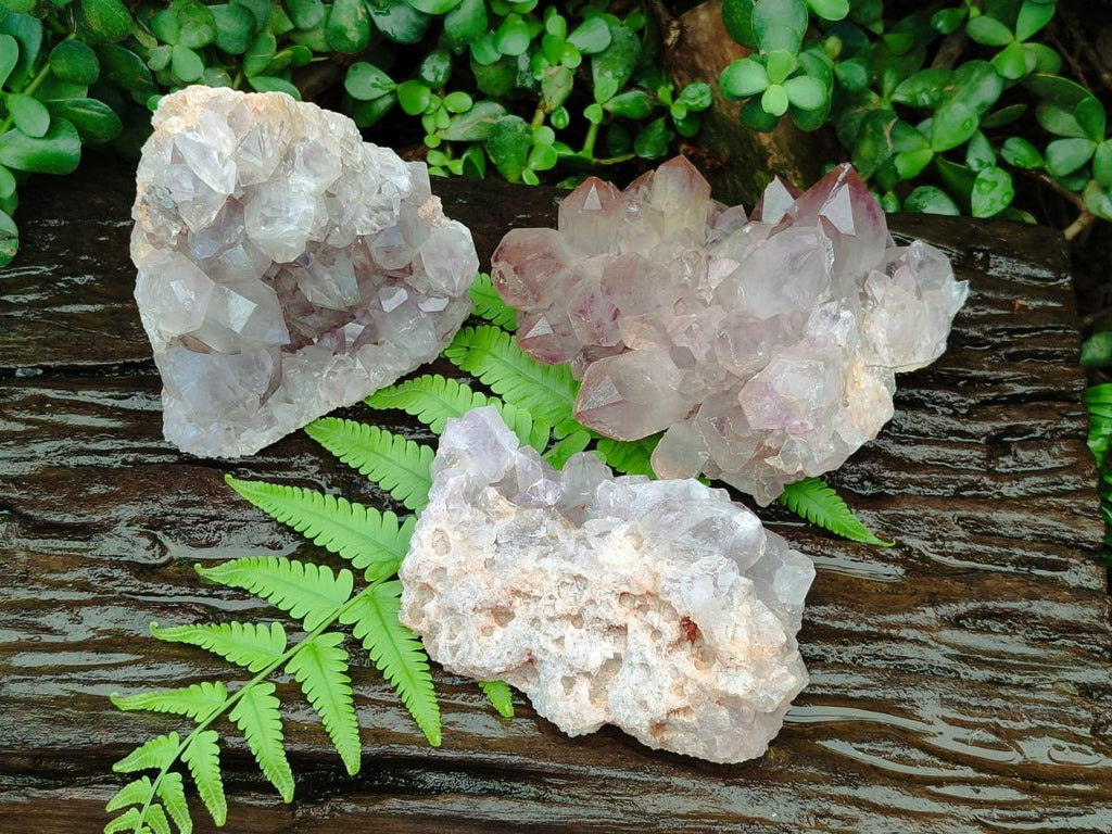 Natural Jacaranda Amethyst Crystal Clusters x 3 From Mumbwa, Zambia - Toprock Gemstones and Minerals 