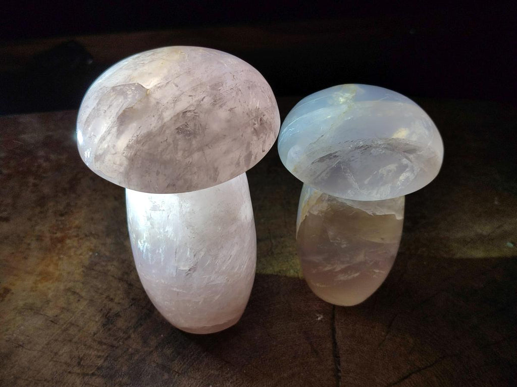 Polished Gemmy Rose Quartz Mushrooms x 3 From Madagascar - Toprock Gemstones and Minerals 