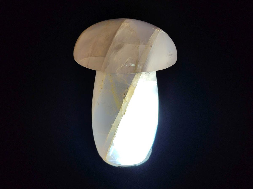 Polished Gemmy Rose Quartz Mushrooms x 3 From Madagascar - Toprock Gemstones and Minerals 