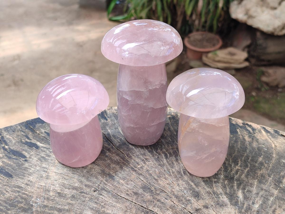 Polished Gemmy Rose Quartz Mushrooms x 3 From Madagascar - Toprock Gemstones and Minerals 