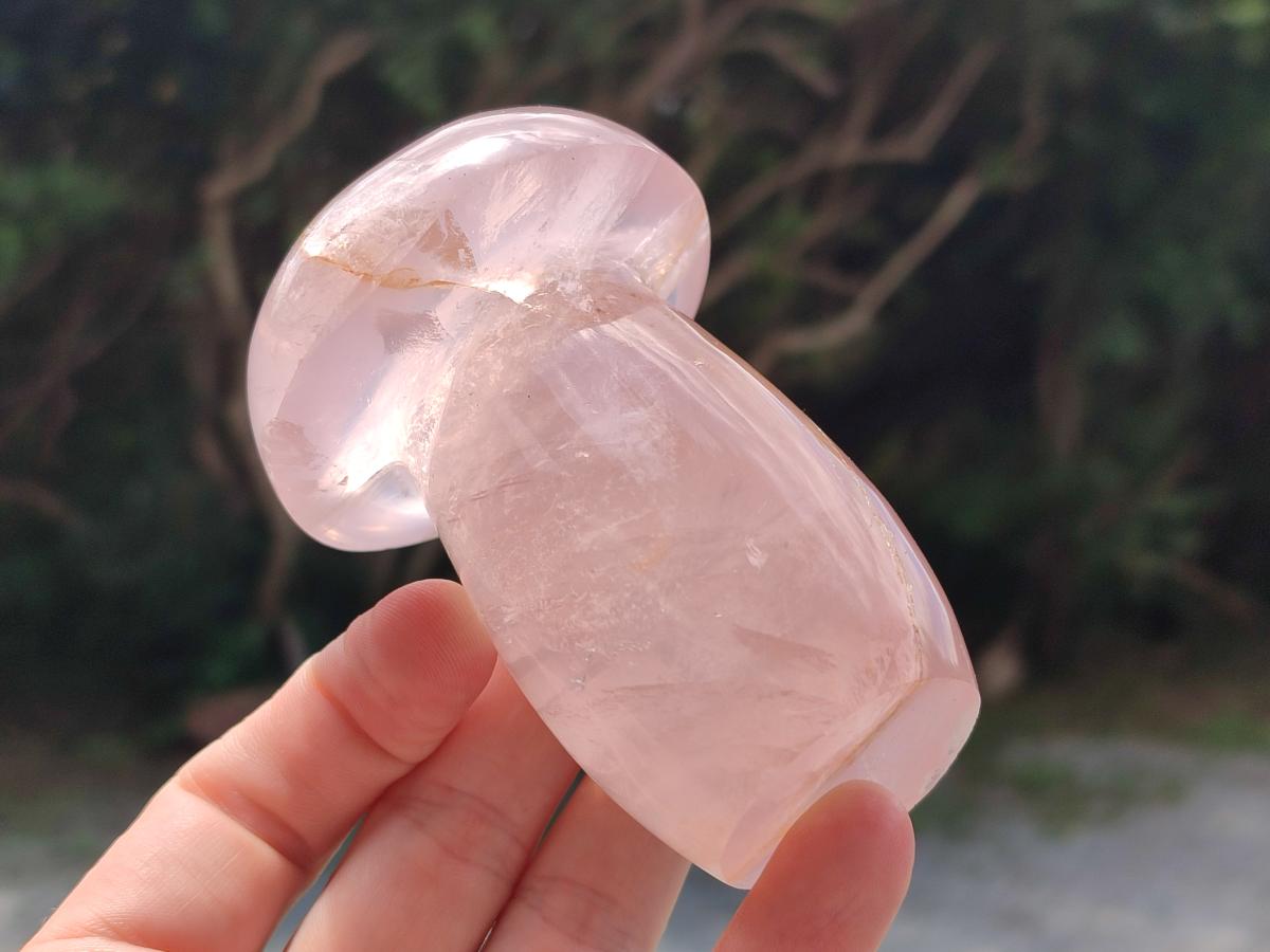 Polished Gemmy Rose Quartz Mushrooms x 3 From Madagascar - Toprock Gemstones and Minerals 