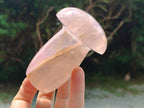 Polished Gemmy Rose Quartz Mushrooms x 3 From Madagascar - Toprock Gemstones and Minerals 