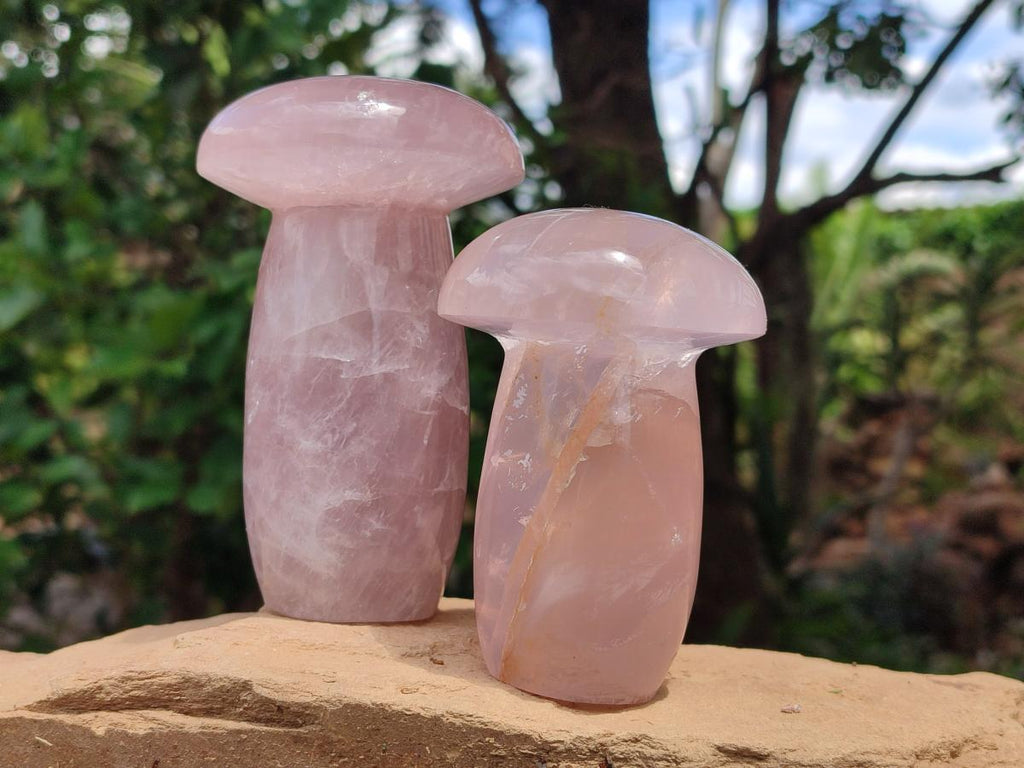 Polished Gemmy Rose Quartz Mushrooms x 3 From Madagascar - Toprock Gemstones and Minerals 