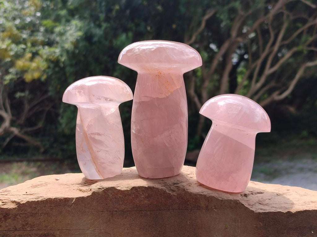 Polished Gemmy Rose Quartz Mushrooms x 3 From Madagascar - Toprock Gemstones and Minerals 