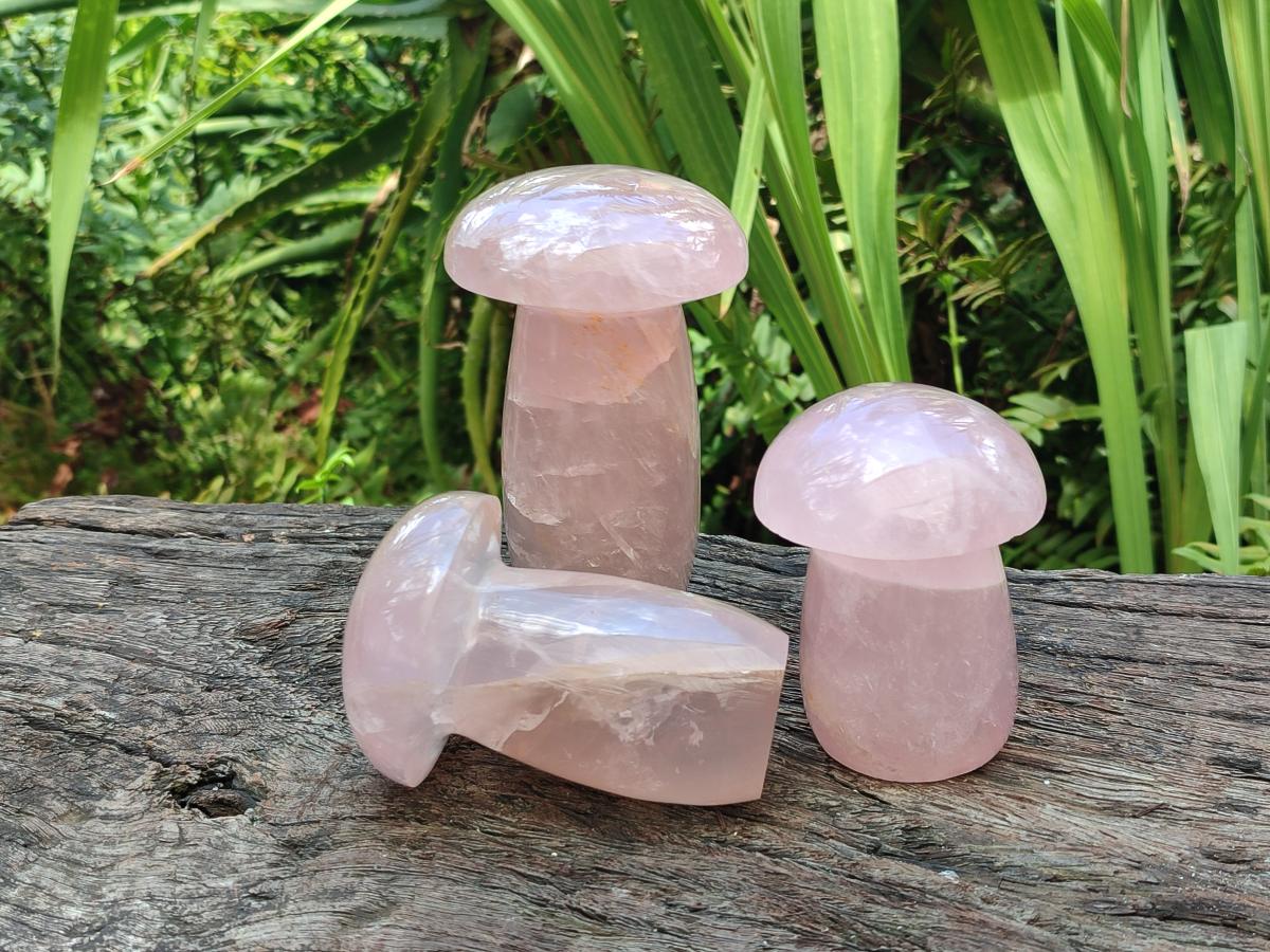 Polished Gemmy Rose Quartz Mushrooms x 3 From Madagascar - Toprock Gemstones and Minerals 