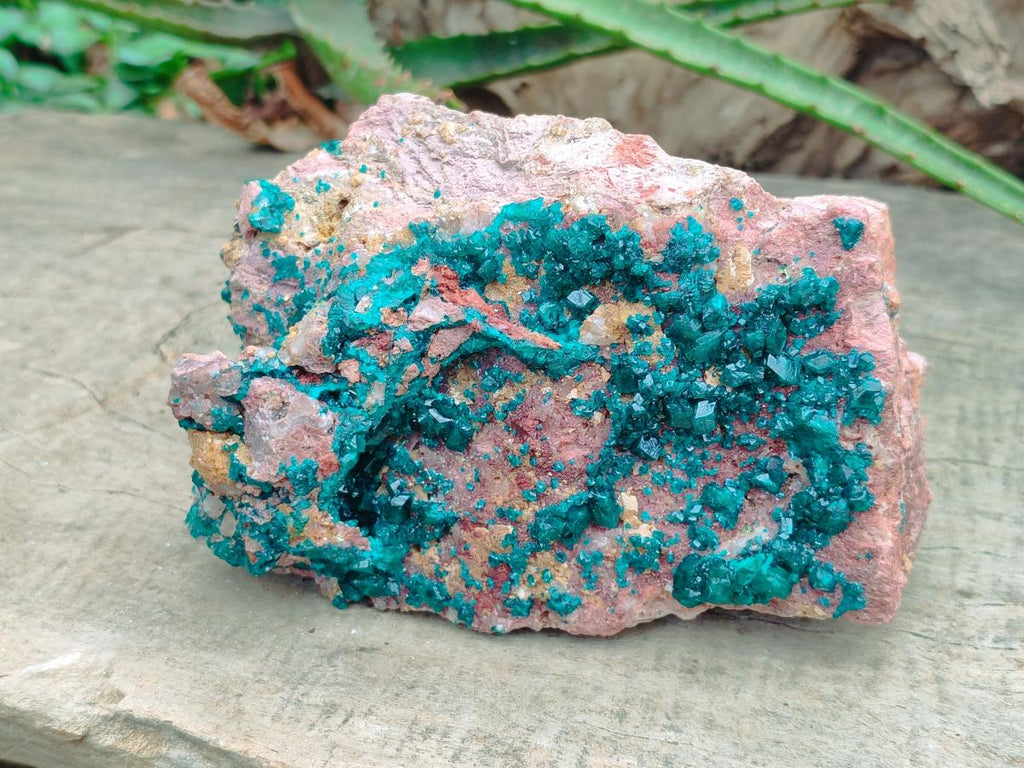 Natural Large Dioptase on Dolomite Specimen x 1 From Likasi, Congo - Toprock Gemstones and Minerals 