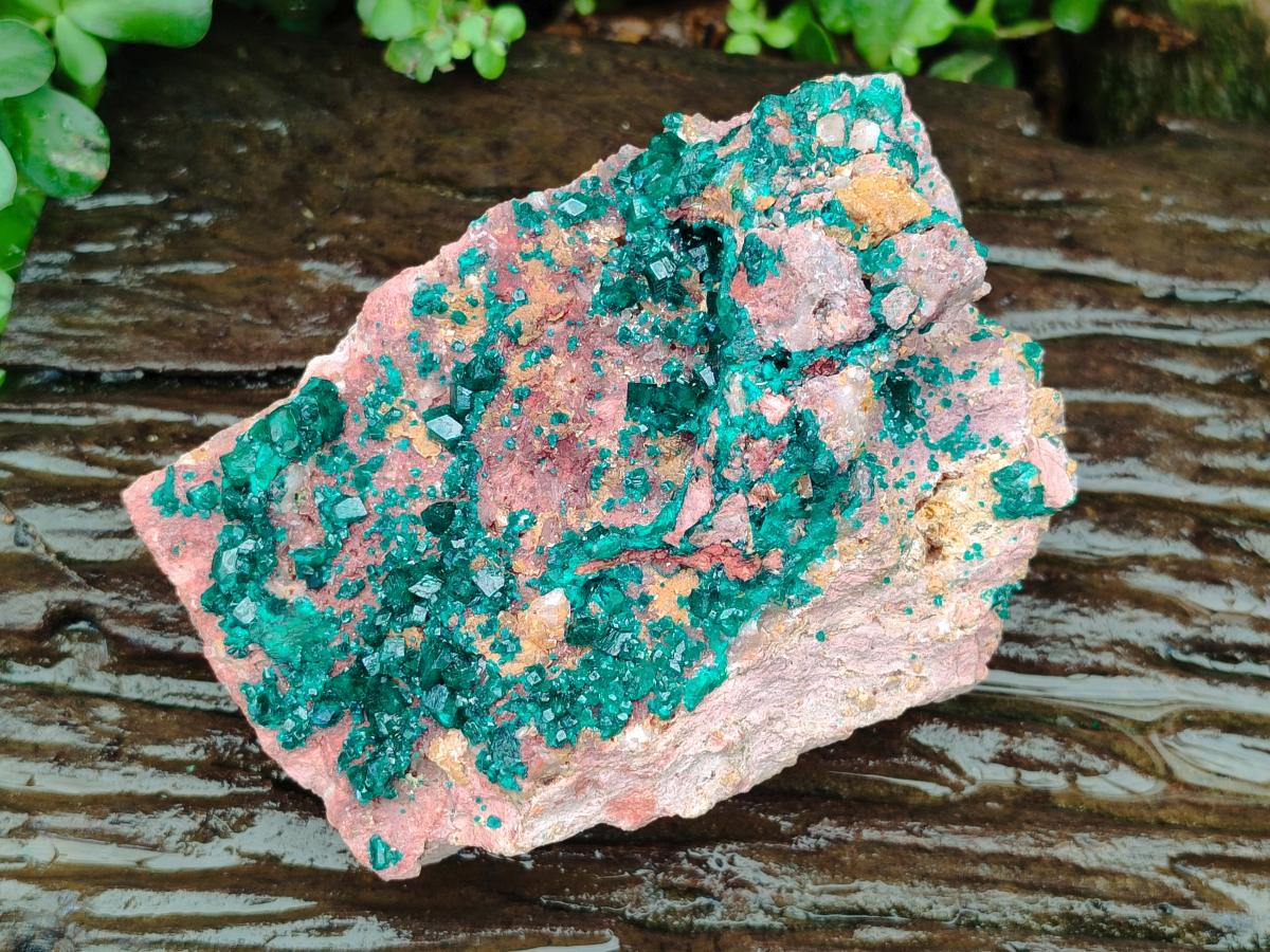 Natural Large Dioptase on Dolomite Specimen x 1 From Likasi, Congo - Toprock Gemstones and Minerals 
