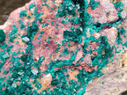 Natural Large Dioptase on Dolomite Specimen x 1 From Likasi, Congo - Toprock Gemstones and Minerals 
