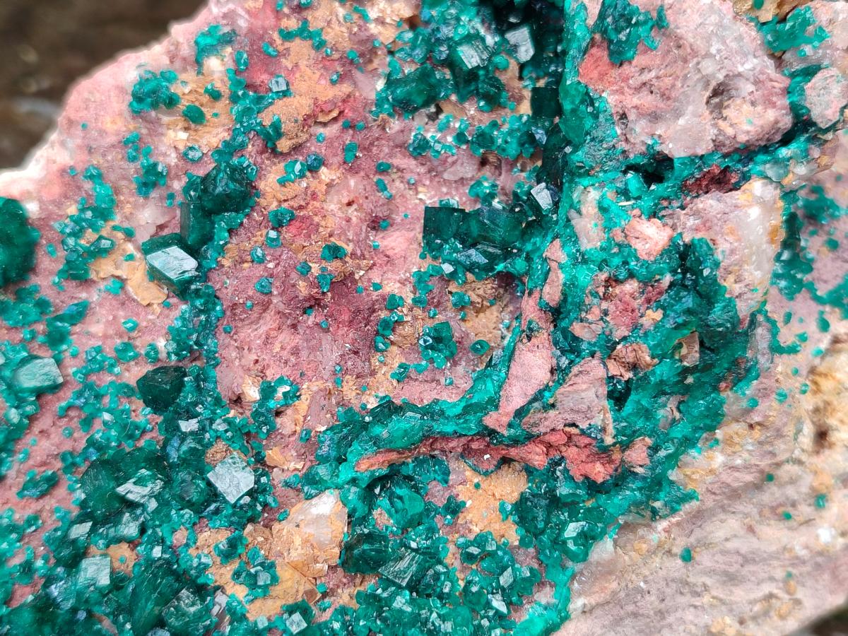 Natural Large Dioptase on Dolomite Specimen x 1 From Likasi, Congo - Toprock Gemstones and Minerals 