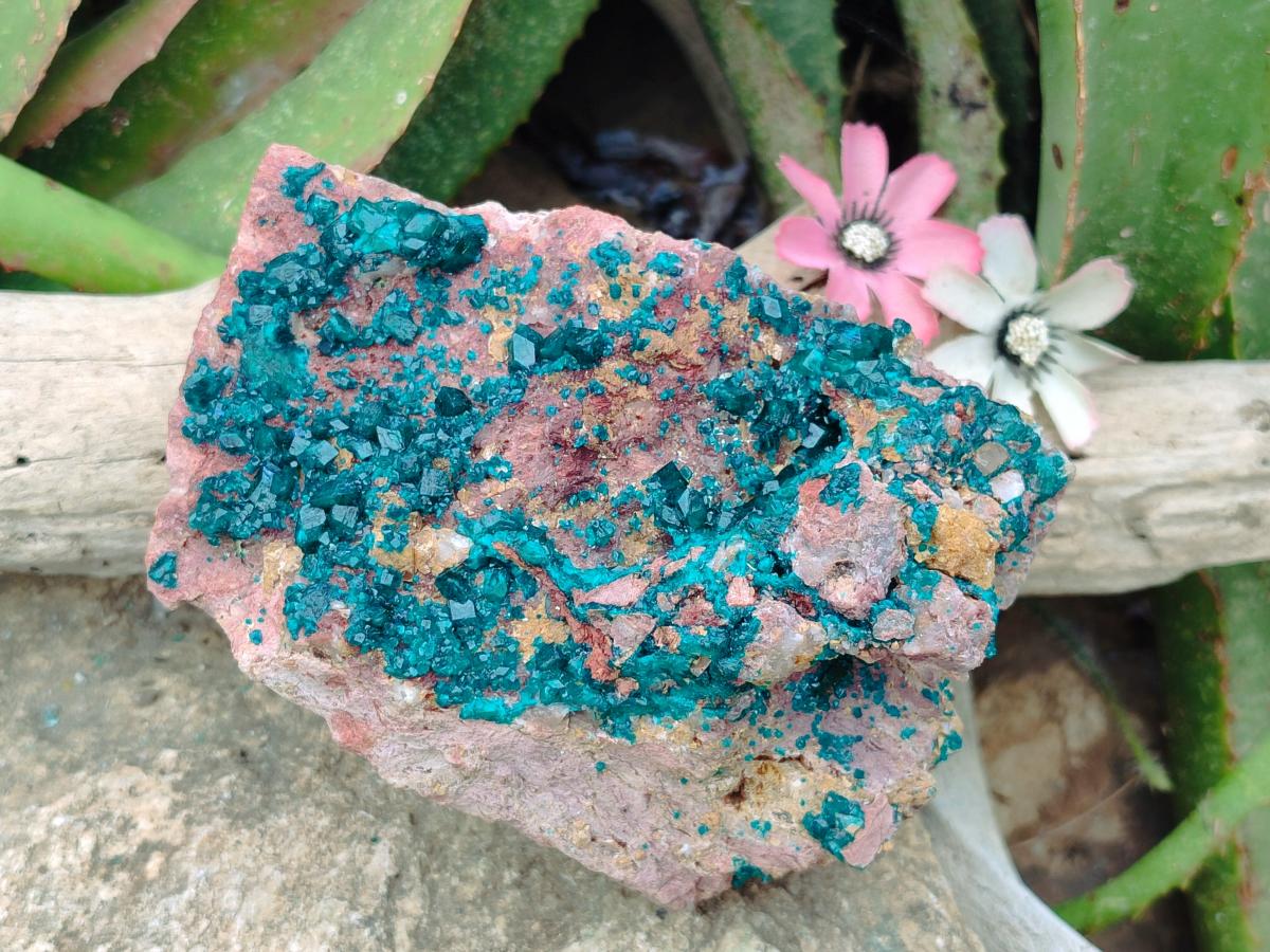 Natural Large Dioptase on Dolomite Specimen x 1 From Likasi, Congo - Toprock Gemstones and Minerals 