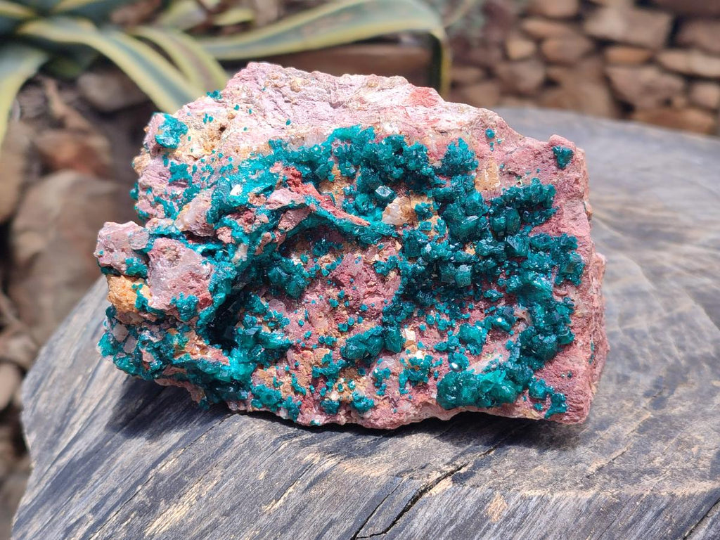 Natural Large Dioptase on Dolomite Specimen x 1 From Likasi, Congo - Toprock Gemstones and Minerals 