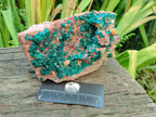 Natural Large Dioptase on Dolomite Specimen x 1 From Likasi, Congo - Toprock Gemstones and Minerals 