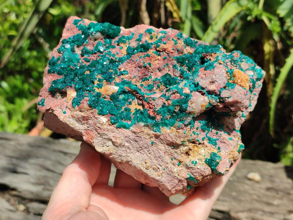 Natural Large Dioptase on Dolomite Specimen x 1 From Likasi, Congo - Toprock Gemstones and Minerals 