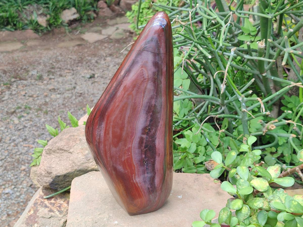 Polished XL Banded Tiger Iron Standing Free Form x 1 From South Africa - Toprock Gemstones and Minerals 