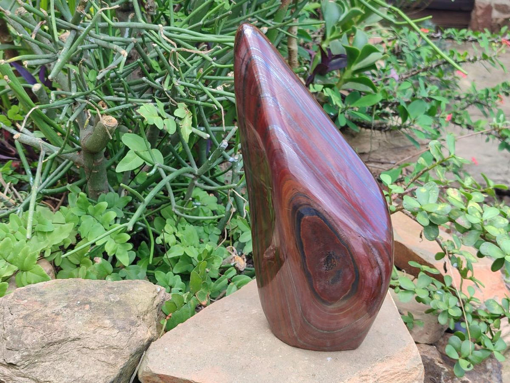 Polished XL Banded Tiger Iron Standing Free Form x 1 From South Africa - Toprock Gemstones and Minerals 