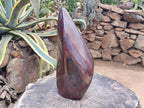 Polished XL Banded Tiger Iron Standing Free Form x 1 From South Africa - Toprock Gemstones and Minerals 